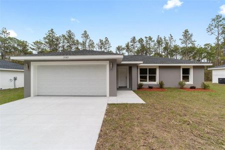 New construction Single-Family house 10189 Sw 131 Court, Dunnellon, FL 34432 - photo 0 0