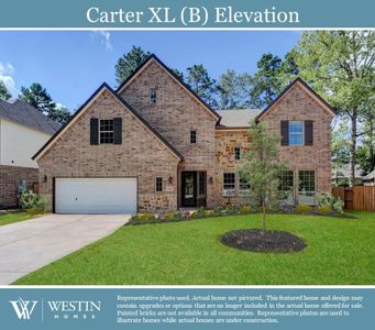 New construction Single-Family house 414 Lake Day Drive, Conroe, TX 77304 - photo 27 27