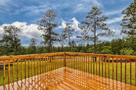 New construction Single-Family house 13 Catchers Circle, Four Oaks, NC 27524 - photo 54 54