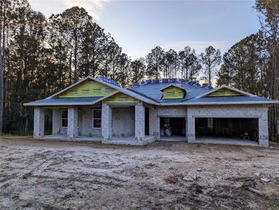 New construction Single-Family house 4462 Majestic Hills Loop, Brooksville, FL 34601 - photo 1 1