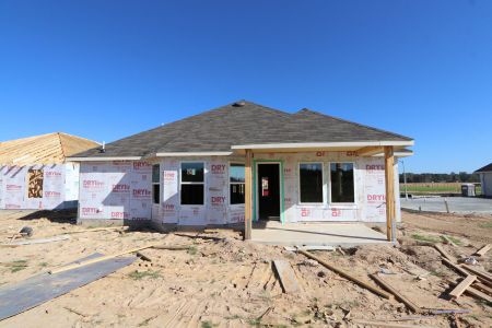 New construction Single-Family house 22460 Mountain Pine Drive, New Caney, TX 77357 Armstrong- photo 2 2