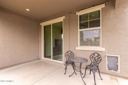 New construction Single-Family house 12369 W Whyman Avenue, Avondale, AZ 85323 - photo 13 13