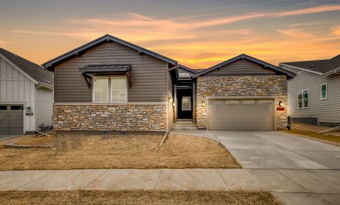 New construction Single-Family house 1915 Canyonpoint Place, Castle Pines, CO 80108 - photo 4 4