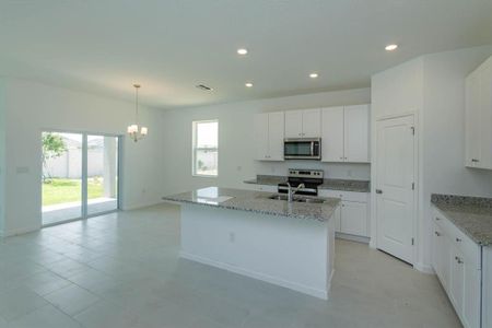 New construction Single-Family house 1578 Outback Road W, Saint Cloud, FL 34771 Mulberry- photo 3 3