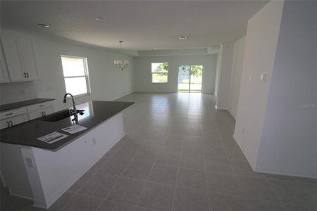 New construction Single-Family house 9208 Westernwoods Avenue, Parrish, FL 34219 Palisades- photo 2 2