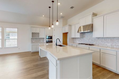 New construction Single-Family house 3257 Aurelia Lane, Round Rock, TX 78665 Norwood- photo 25 25