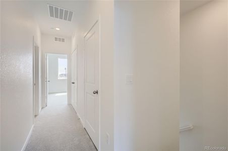 New construction Townhouse house 5480 Second Avenue, Timnath, CO 80547 301- photo 22 22