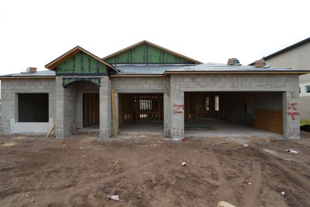 New construction Single-Family house 2941 Marine Grass Drive, Wimauma, FL 33598 Barcello- photo 16 16
