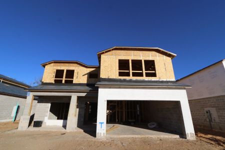New construction Single-Family house 12114 Hilltop Farms Drive, Dade City, FL 33525 Alenza- photo 33 33