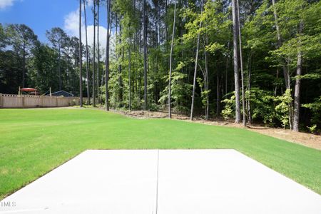 New construction Single-Family house 914 Ardmore Drive, Durham, NC 27713 - photo 51 51