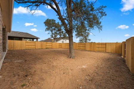 New construction Single-Family house 131 Grand Teton Drive, Kyle, TX 78640 - photo 115 115