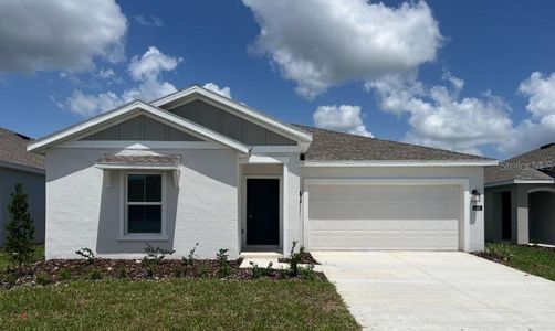 New construction Single-Family house 668 Sand Pine Lane, Haines City, FL 33844 Dover- photo 0