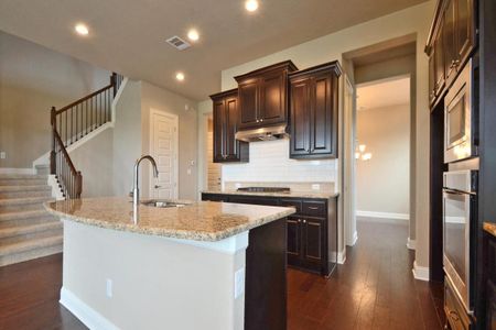 New construction Single-Family house 1229 Terrace View Drive, Georgetown, TX 78628 - photo 16 16