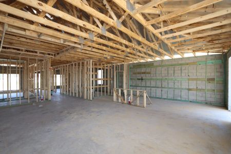 New construction Single-Family house 32568 Sapna Chime Drive, Wesley Chapel, FL 33545 Barcello- photo 12 12