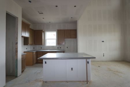 New construction Single-Family house 4816 Seadrift Drive, Austin, TX 78747 Dexter - Capital Series- photo 4 4