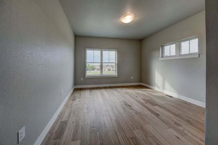 New construction Single-Family house 8412 Cromwell Circle, Windsor, CO 80528 - photo 132 132