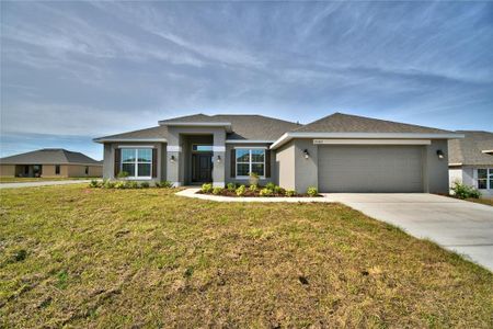 New construction Single-Family house 4131 Tullamore Lane, Auburndale, FL 33823 - photo