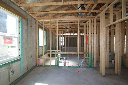 New construction Single-Family house 33224 Amling Pecan Branch, Wesley Chapel, FL 33545 Newport II- photo 30 30