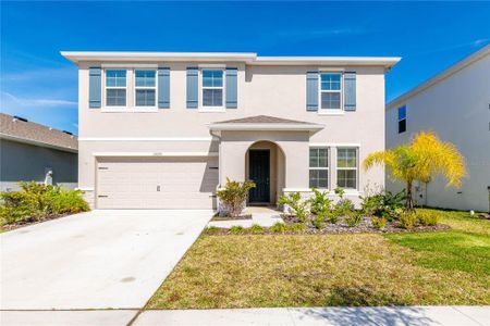 New construction Single-Family house 13090 Brookside Moss Drive, Riverview, FL 33579 - photo
