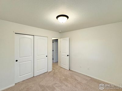 New construction Single-Family house 1813 102Nd Ave, Greeley, CO 80634 - photo 15 15