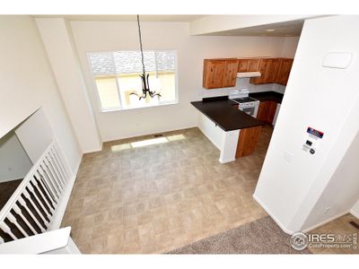 New construction Single-Family house 2291 Graceful St, Windsor, CO 80550 The Michigan- photo 25 25