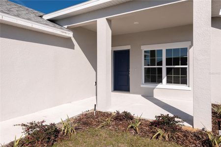 New construction Single-Family house 5348 Se 91St Place, Ocala, FL 34480 Millenial X- photo 6 6