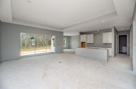 New construction Single-Family house 42 N Spend A Buck Drive, Inverness, FL 34453 - photo 8 8
