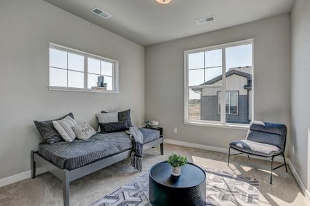 New construction Multi-Family house 6846 Stonebrook Drive, Timnath, CO 80547 Timberline- photo 32 32