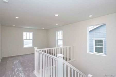 New construction Single-Family house 1889 Water Birch Way, Castle Rock, CO 80108 - photo 9 9