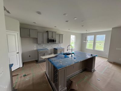 New construction Single-Family house 116 Baird Cove Lane, Unit 199, Angier, NC 27501 The Concerto- photo 7 7