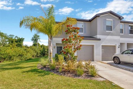 New construction Townhouse house 23366 Papyrus Way, Lutz, FL 33549 - photo 0 0