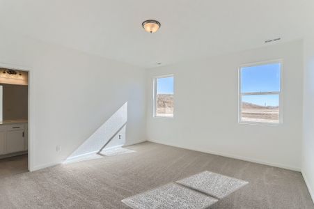 New construction Single-Family house 2060 Ballyneal Drive, Fort Collins, CO 80524 - photo 11 11