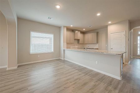 New construction Single-Family house 2214 Thunderbolt Peak Drive, Rosharon, TX 77583 - photo 19 19