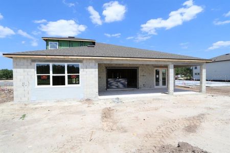 New construction Single-Family house 10609 New Morning Drive, Tampa, FL 33647 Corina  III Bonus- photo 3 3