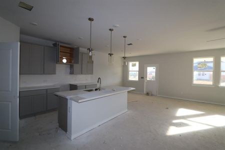 New construction Single-Family house 118 Rampart Loop, Liberty Hill, TX 78642 Concho- photo 2 2