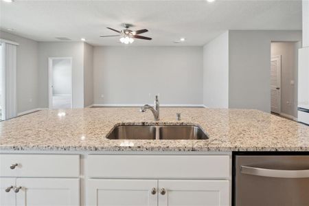 New construction Single-Family house 17352 Nw 172Nd Avenue, Alachua, FL 32615 - photo 14 14