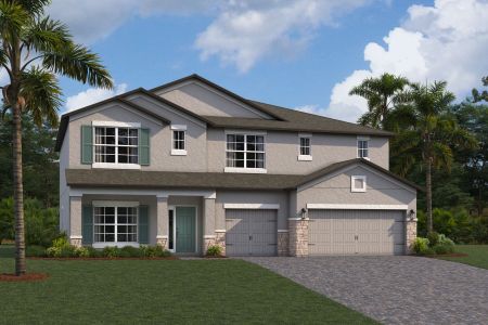 New construction Single-Family house 10805 Rolling Moss Road, Tampa, FL 33647 - photo 12 12