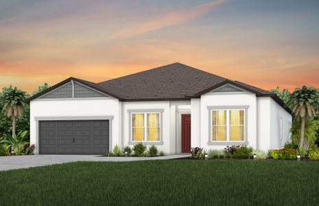 New construction Single-Family house 12047 Orchid Ash Street, Riverview, FL 33579 - photo 1 1