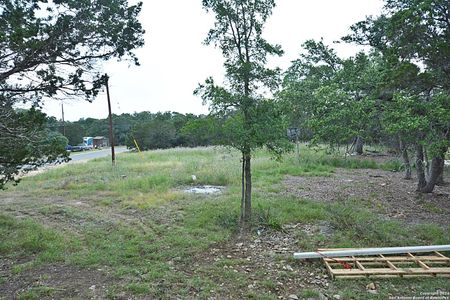 New construction Single-Family house 933 Covered Wagon, Spring Branch, TX 78070 - photo 2 2
