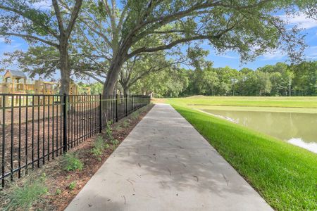 New construction Single-Family house 221 O'Malley Drive, Summerville, SC 29483 Downey- photo 47 47