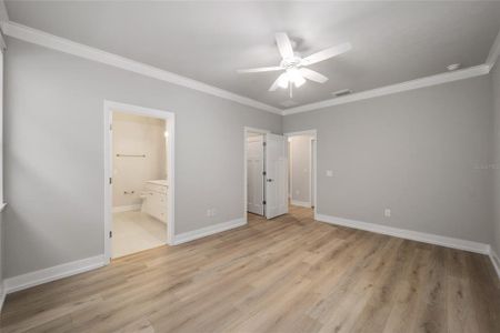 New construction Single-Family house 890 Nw 50Th Terrace, Gainesville, FL 32605 - photo 22 22