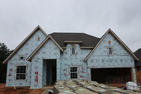 New construction Single-Family house 434 Paintbrush Meadows Drive, Willis, TX 77318 The Birkshire- photo