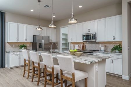 The Grove at El Cidro by William Ryan Homes in Goodyear - photo 50 50