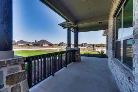 New construction Single-Family house 441 Solo Ridge, Waxahachie, TX 75167 - photo 24 24