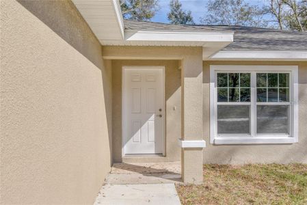 New construction Single-Family house 17752 Sw 36Th Loop, Dunnellon, FL 34432 - photo 1 1