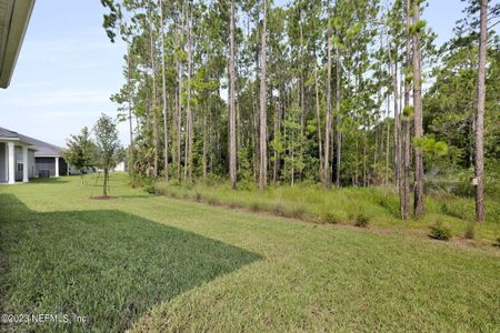New construction Single-Family house 106 Willow Creek Court, Saint Augustine, FL 32092 Heron A- photo 20 20