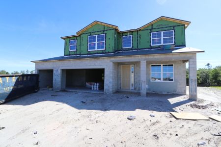 New construction Single-Family house 5263 Peony Court, Lakeland, FL 33811 Mira Lago- photo 20 20