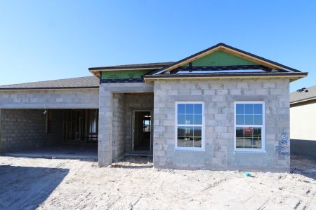 New construction Single-Family house 4833 Foxglove Circle, Lakeland, FL 33811 Marque- photo 34 34