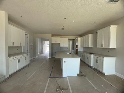 New construction Single-Family house 885 Pointe Emerson Boulevard, Apopka, FL 32703 Glenwood - Eco Grand Series- photo 10 10