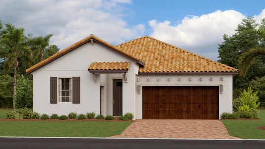 New construction Single-Family house Dawning, 16910 Scuba Crest Street, Wimauma, FL 33598 - photo